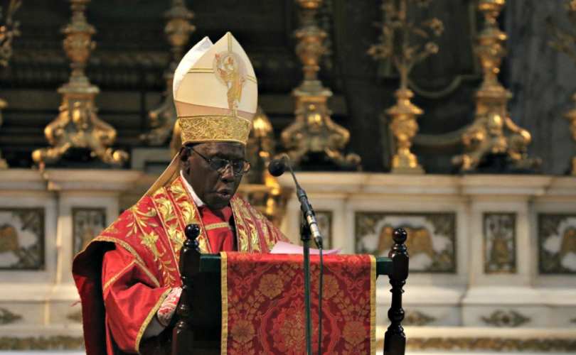 cardinal_sarah_1_810_500_55_s_c1.jpg