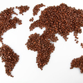 A világ 15 legjobb kávéfajtája