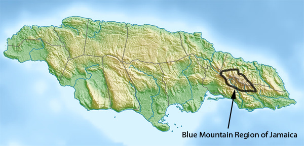 jamaica-blue-mountain-kave-termoterulet.jpg