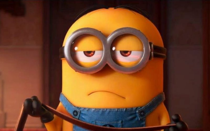 minion-bored-face-800x500.jpg