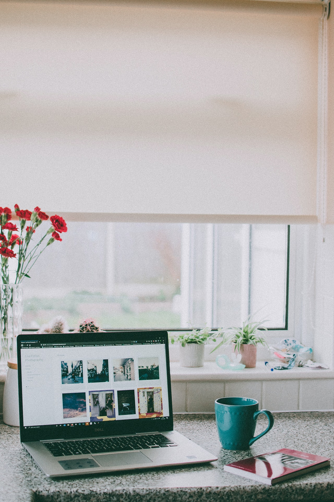 red-flowers-in-vase-beside-laptop-3716515_2.jpg