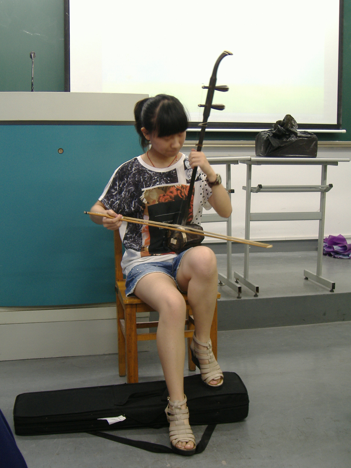 Erhu