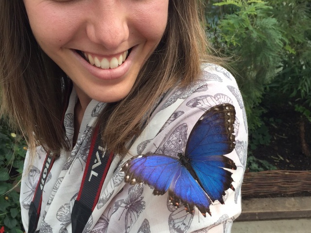 Butterfly World