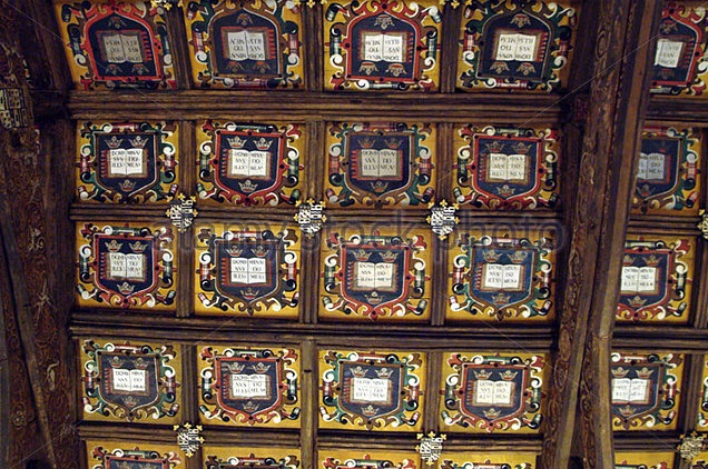 ceiling-inside-the-bodleian-library-oxford-a4ay5p.jpg