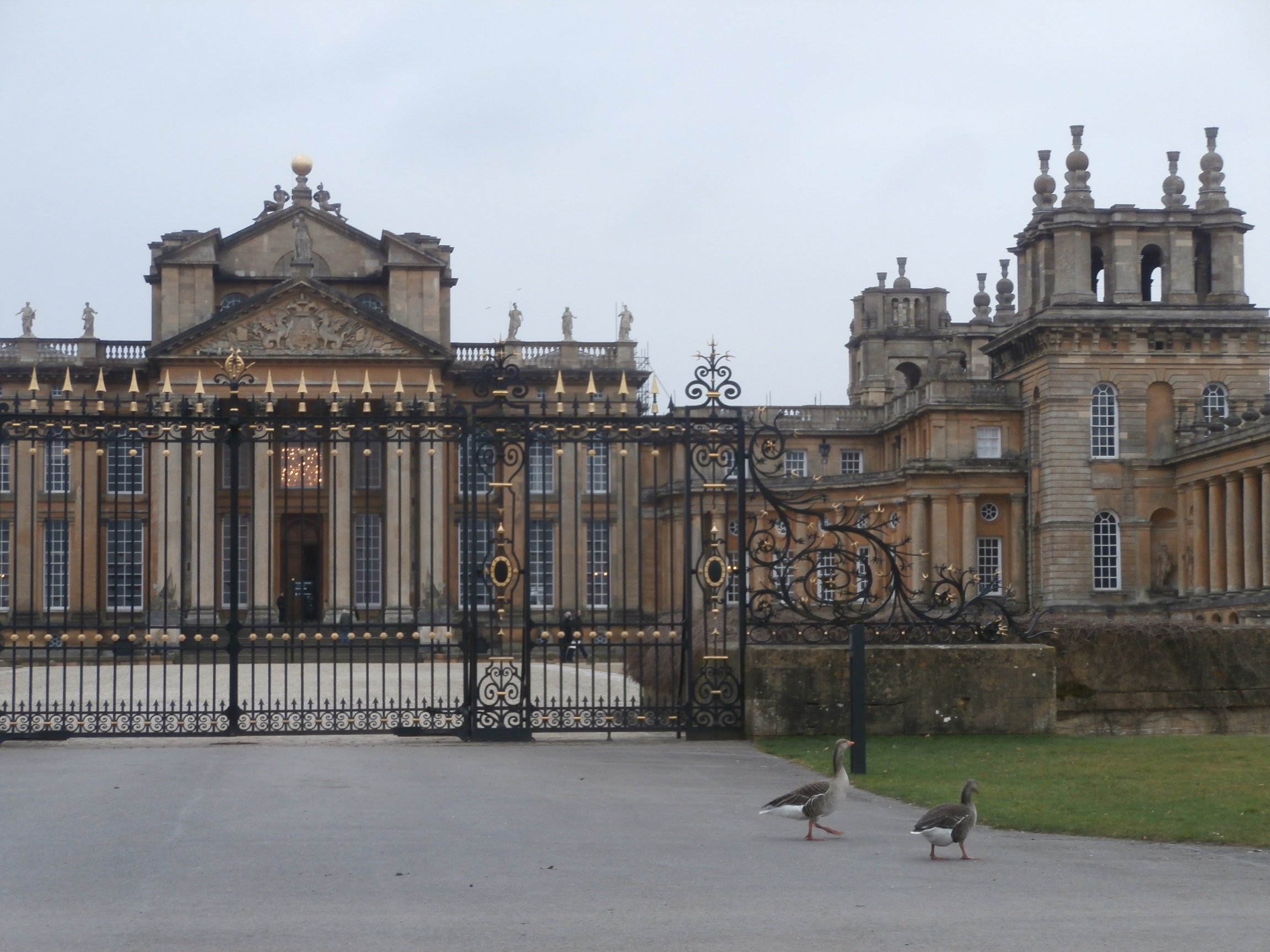Blenheim palace és libák