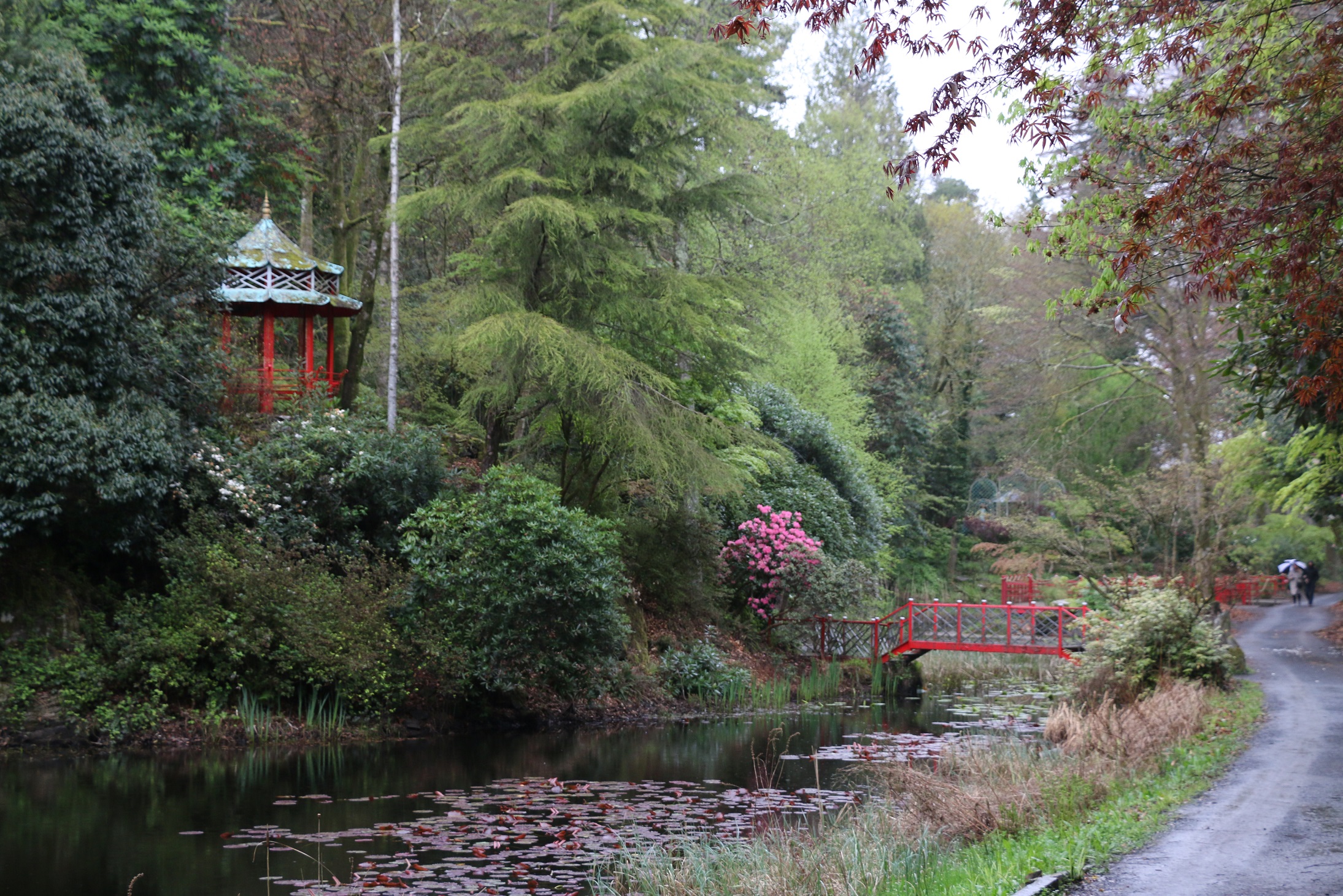 Portmeirion, kert