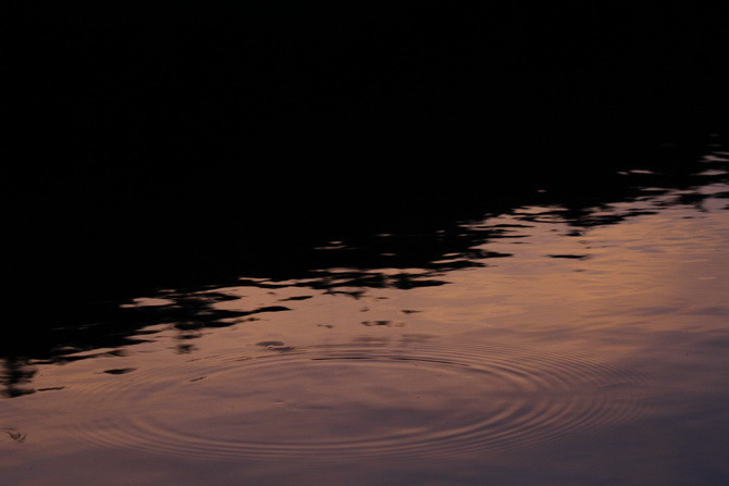 fovarosi.blog.hu: 20150917-33-SzajkiTavak-670 - indafoto.hu