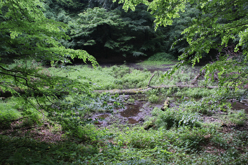 fovarosi.blog.hu: 20160520-39-FeketeTo - indafoto.hu