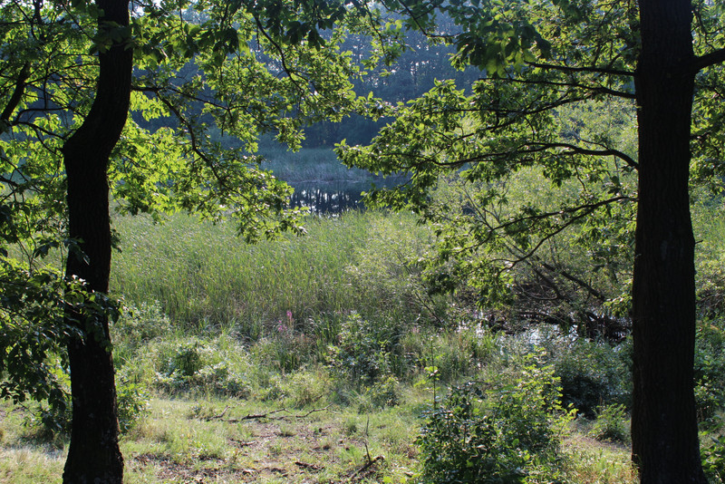 fovarosi.blog.hu: 20160827-81-BikaTo - indafoto.hu