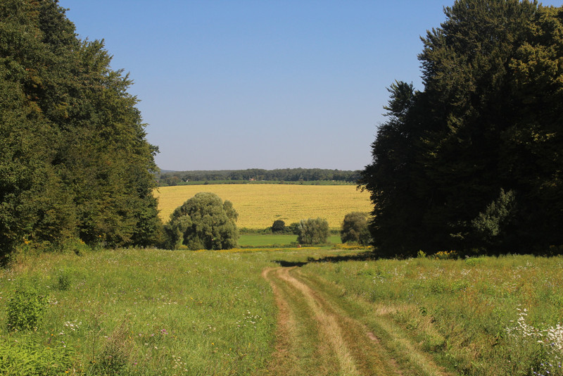 fovarosi.blog.hu: 20160828-37-TalodiKolostorromUtan - indafoto.hu
