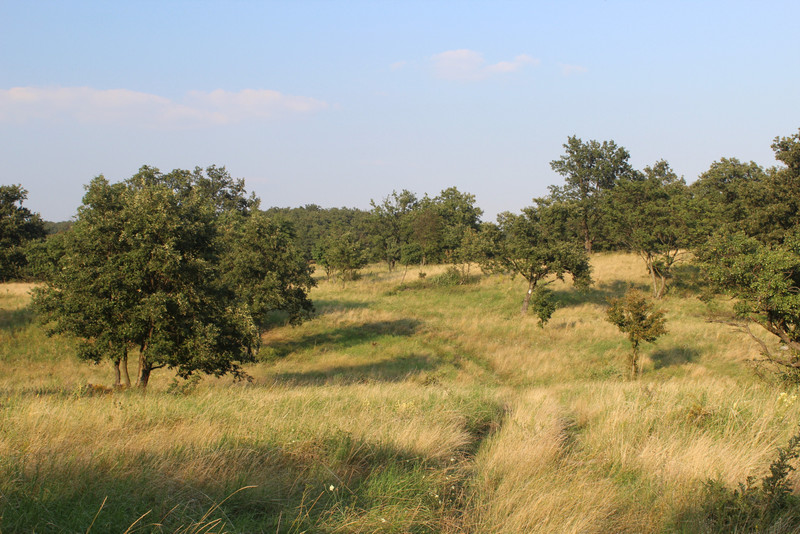 fovarosi.blog.hu: 20160827-83-FeketeHegy - indafoto.hu