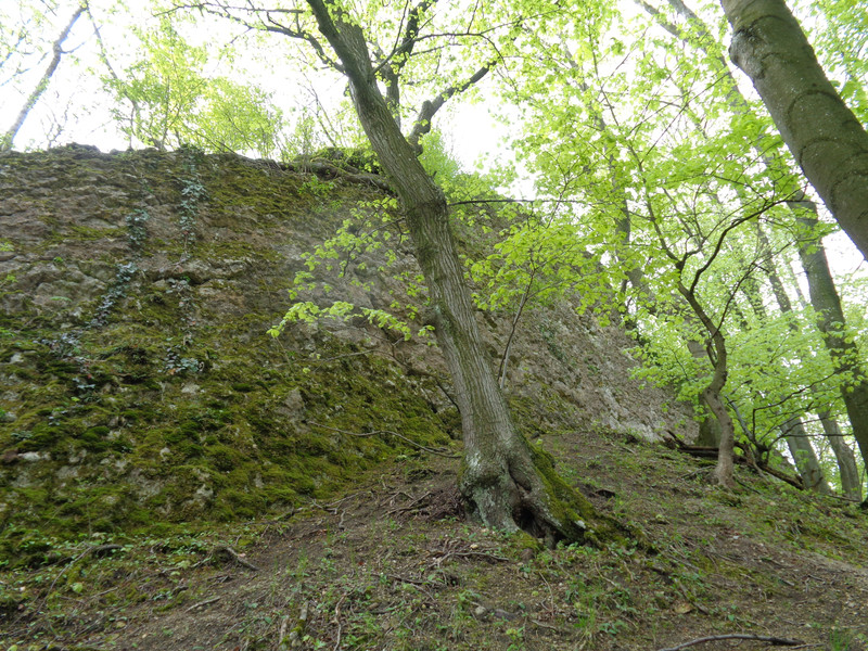 20170415-16-HolgykoVara