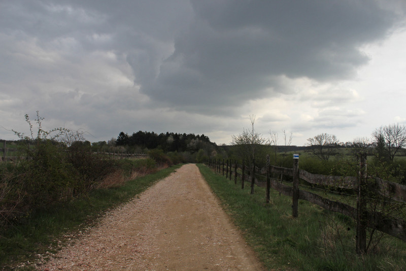20170416-64-SzepalmapusztaElott