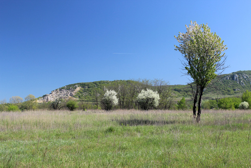 20180421-08-LencsehegyiBanyauzem