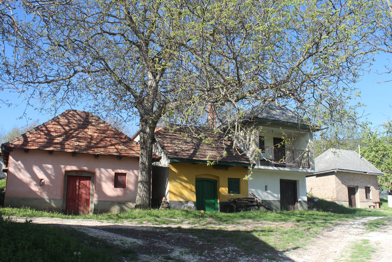 20180421-61-Piliscsev-Pincesor