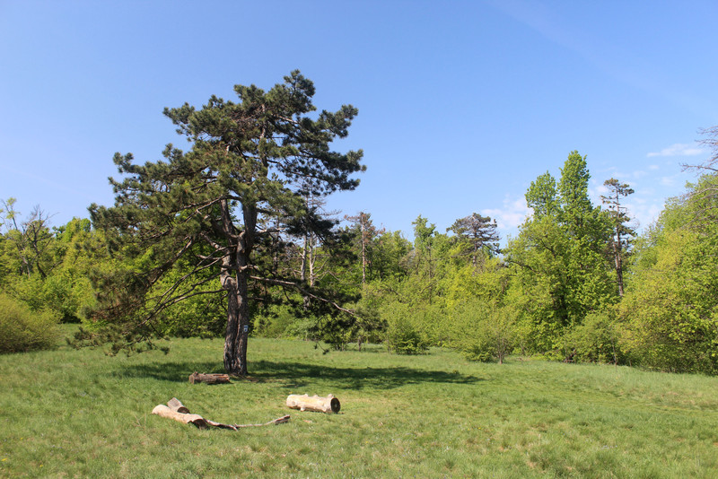 20180422-024-KutyaHegyNyerge