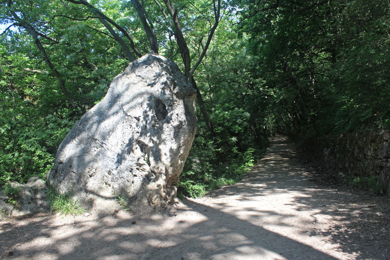 20180428-19-OroszlanKo