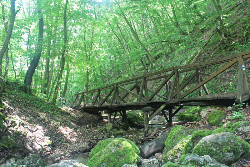 Dera-szurdok, 2018. (Fotó: Papp Géza, kektura.blog.hu)