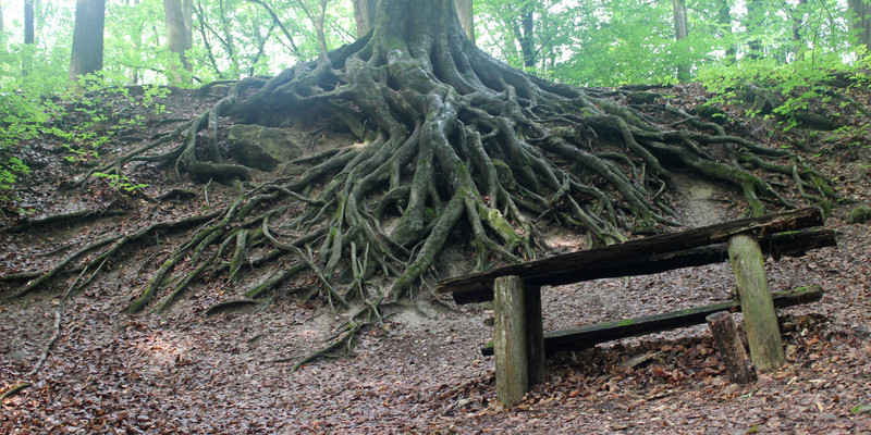 A Fehér-forrás a Törökmezői Turistaház közelében, 2018. (fotó: Papp Géza, kektura.blog.hu)