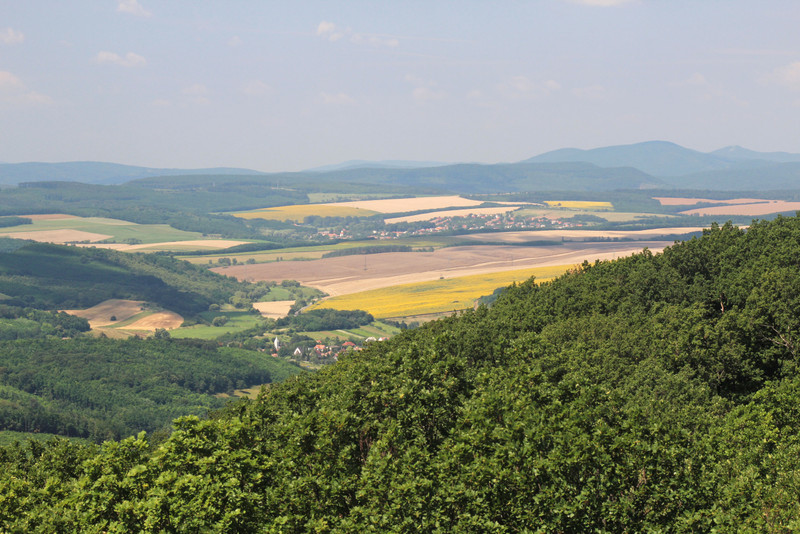 Prónay-kilátó, 2018. Fotó: Papp Géza, kektura.blog.hu