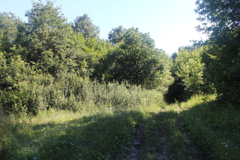 20180701-25-KekL-SzandavarFele