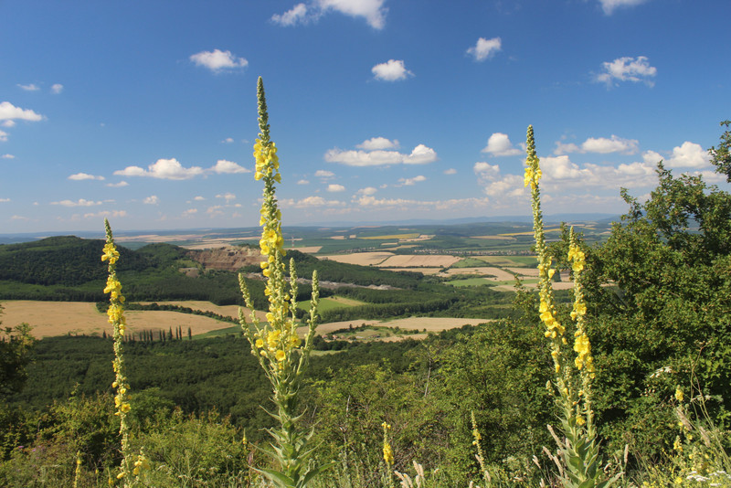 Szandavár, 2018. Fotó: Papp Géza, kektura.blog.hu