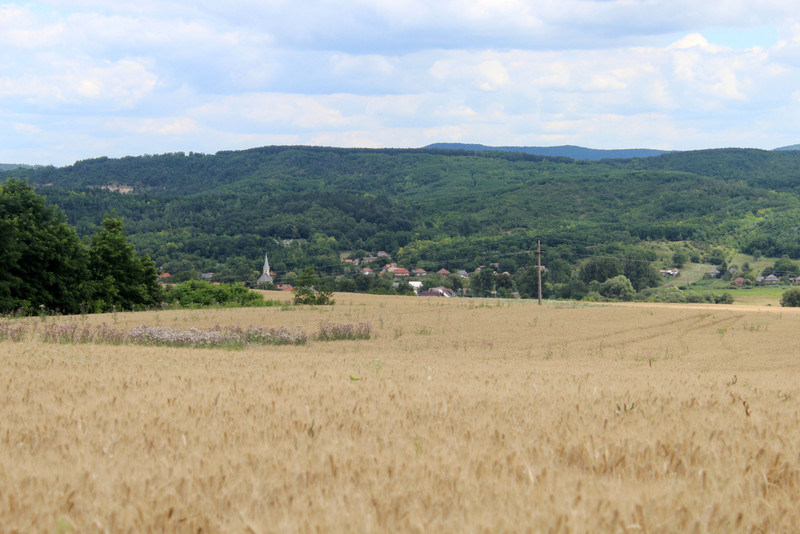 20180701-56-TerenyElott