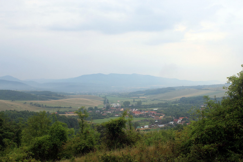 A kék L jelzésen. Fotó: Papp Géza, kektura.blog.hu