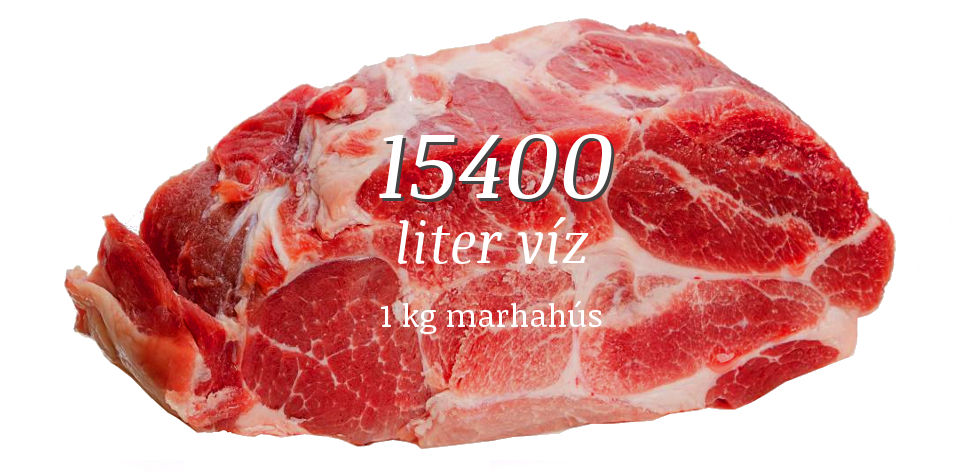 discover-beef-litres.jpg