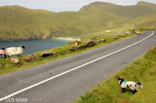 Achill-sziget: a Croaghaun-túra Európa peremén