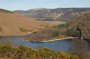 Wicklow-hegység, a megunhatatlan: Lough Dan környéke