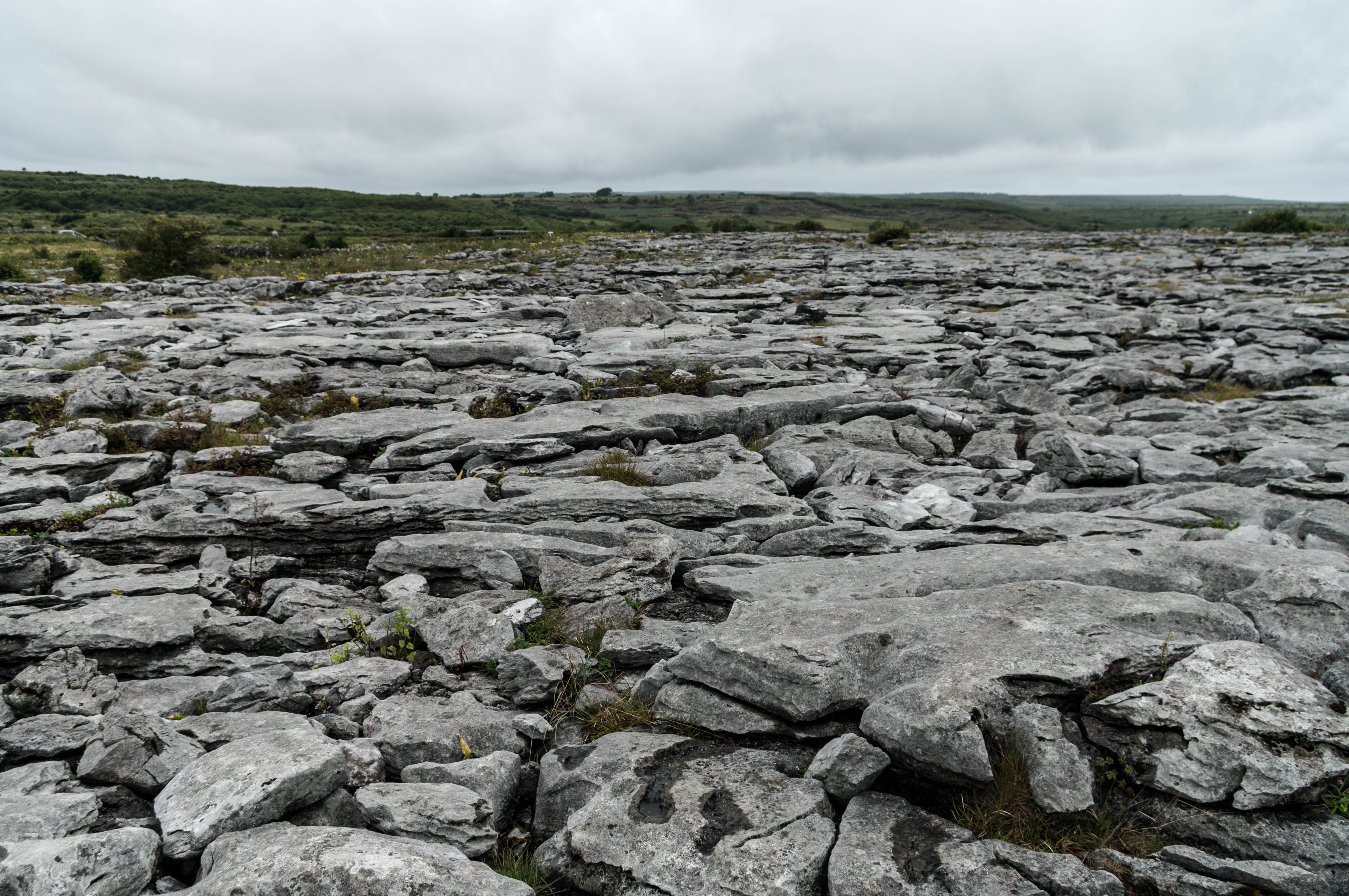 burren.jpg