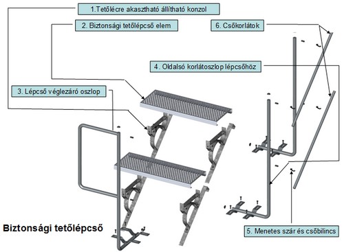 tetojarda1.jpg