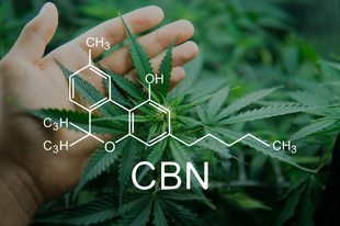 Mi az a Cannabinol (CBN)?