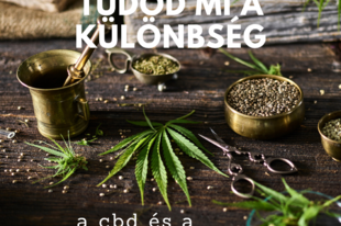 Tudjátok mi a különbség a CBD és a kendermagolaj között?