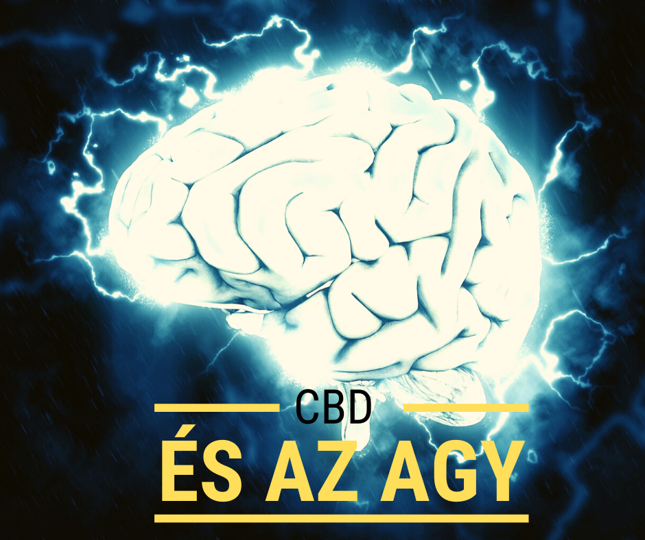 cbd_es_az_agy.png