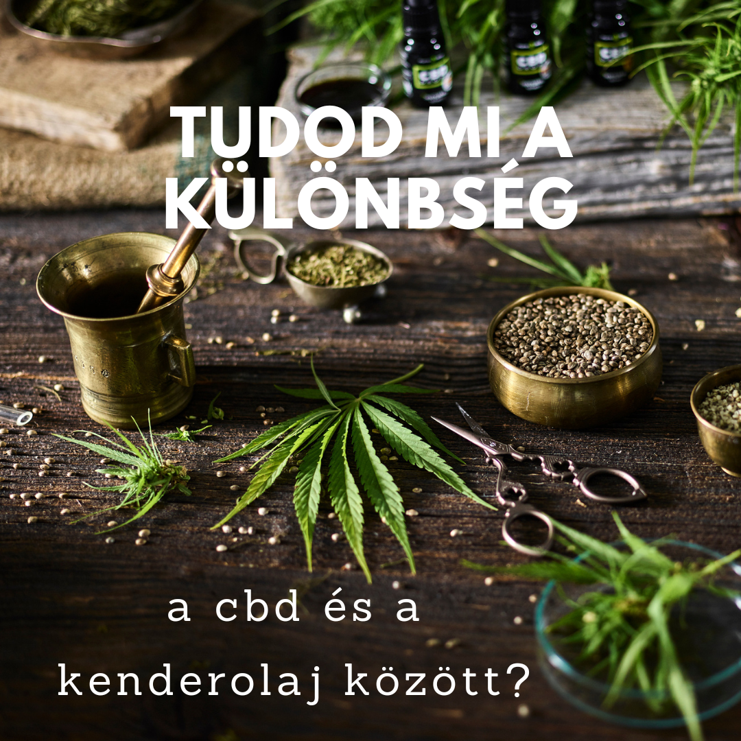 kulonbseg_a_cbd_es_kenderolaj_kozott.png