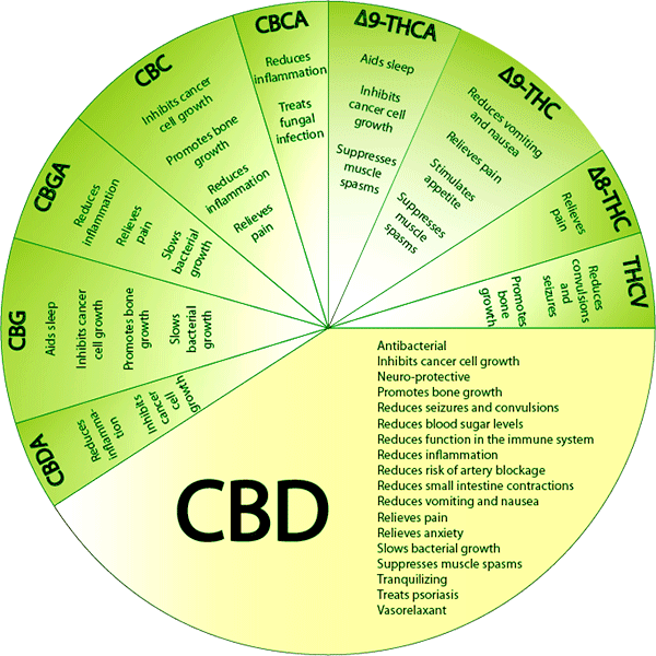 cannabinoid.png