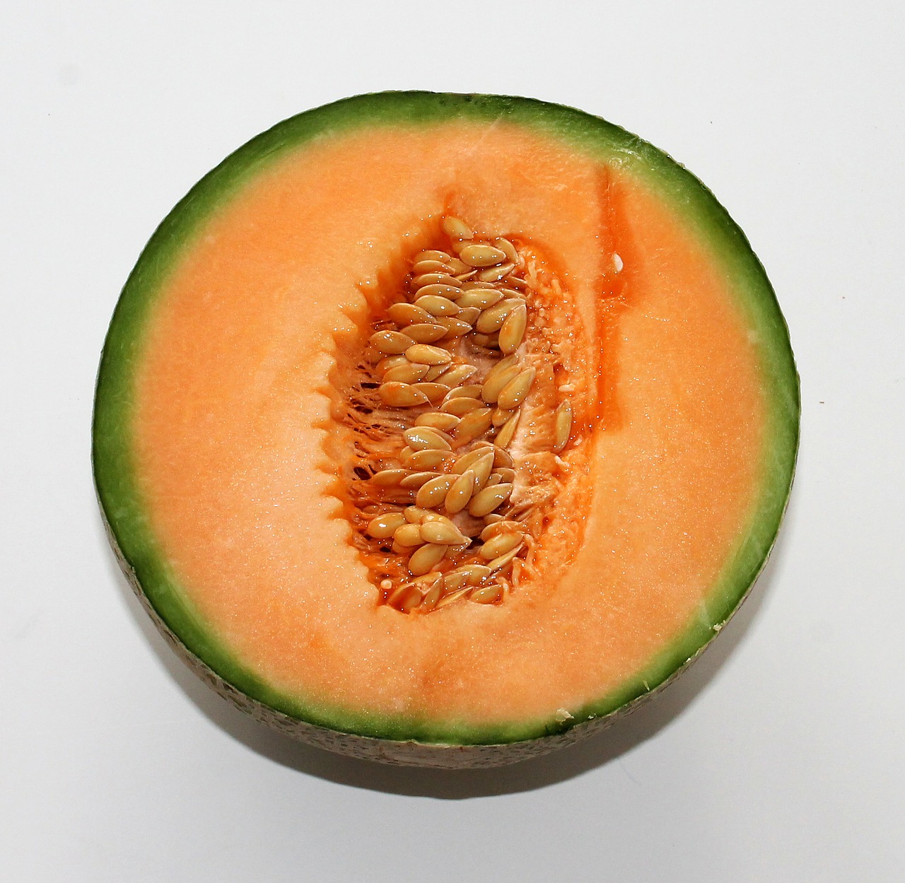 melon-626351_1280.jpg