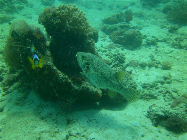 PICT0515.JPG