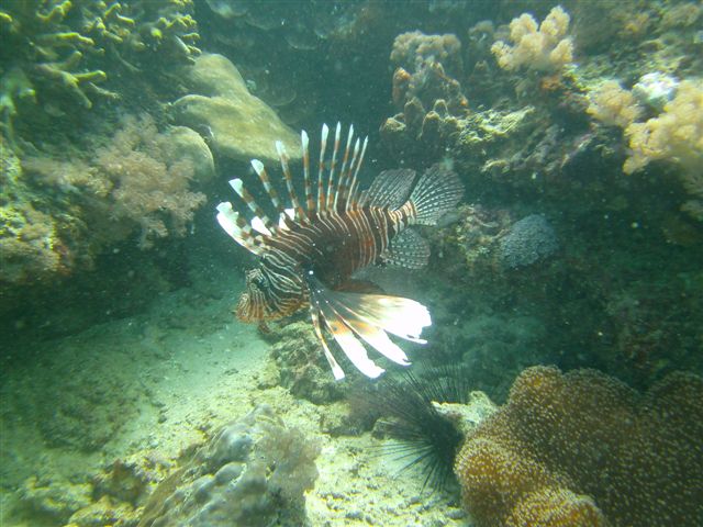 PICT0550.JPG