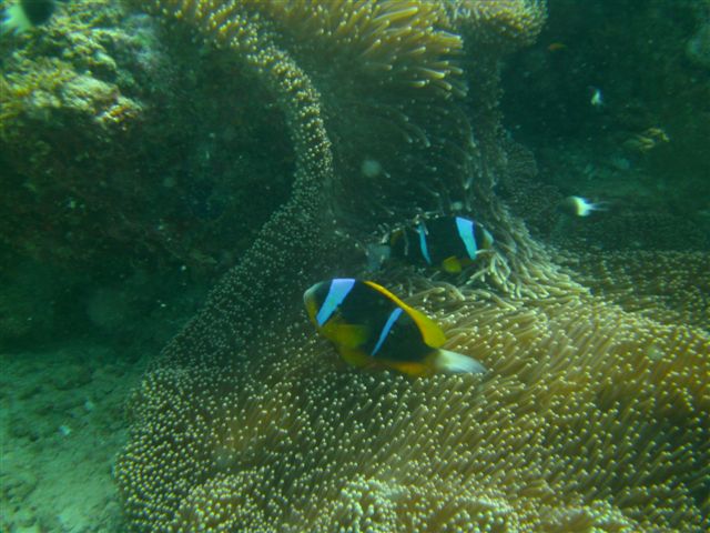 PICT0563.JPG