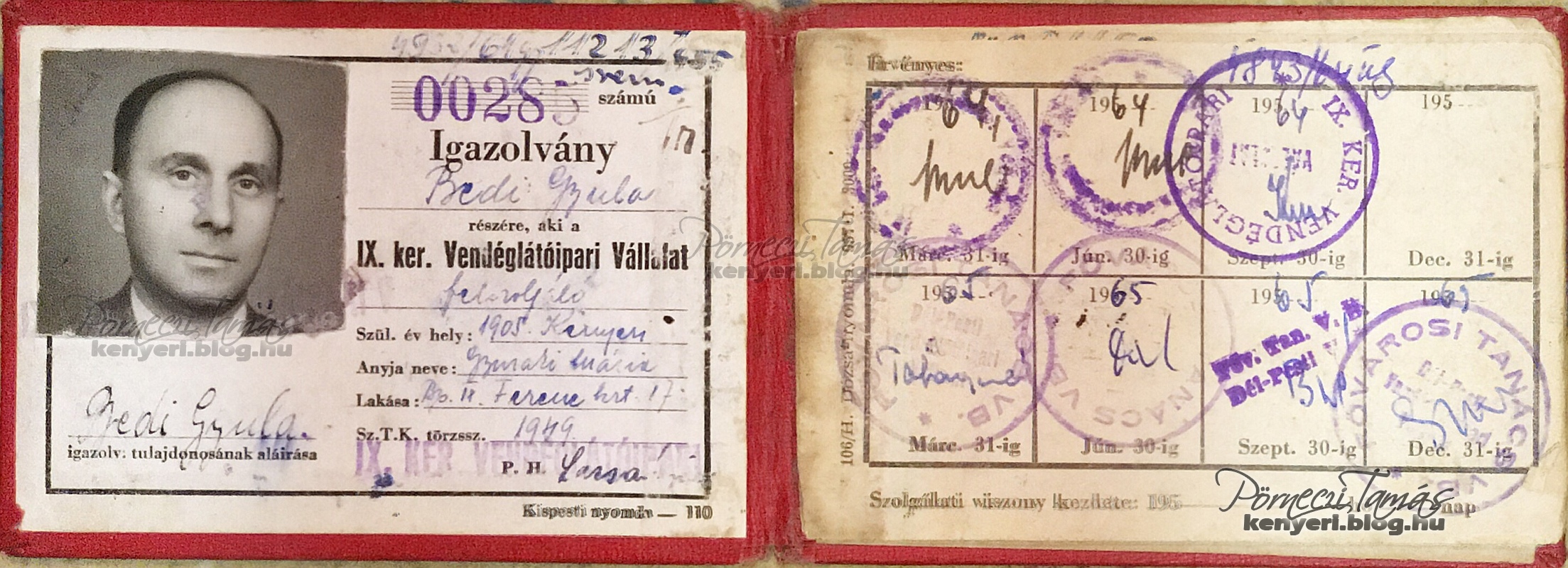 bedi_gyula_felszolgalo_igazolvany_1949.jpg