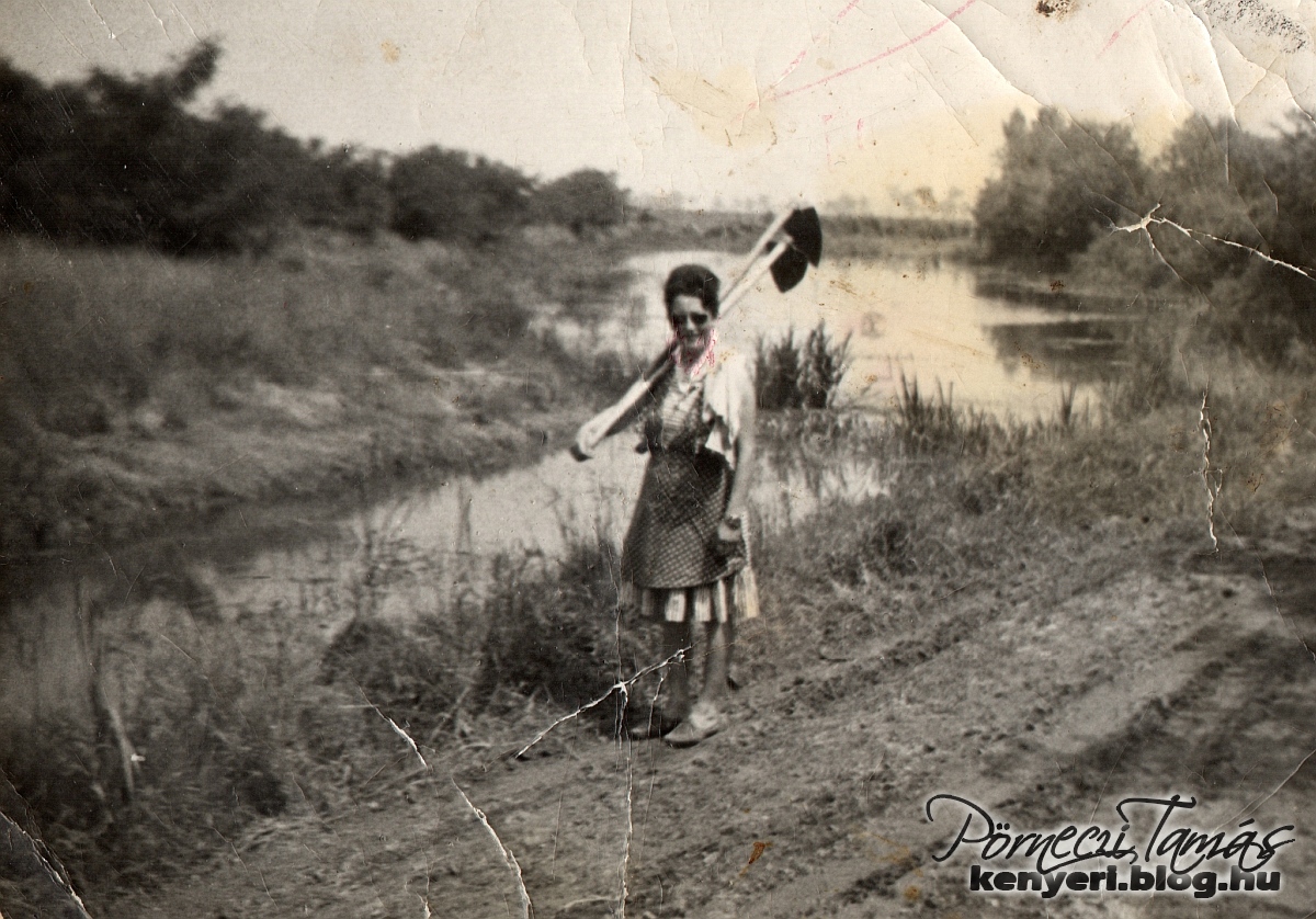 benimargit_kapalni_megy_a_lankanal_1965korul_svedics_laszlone.jpg