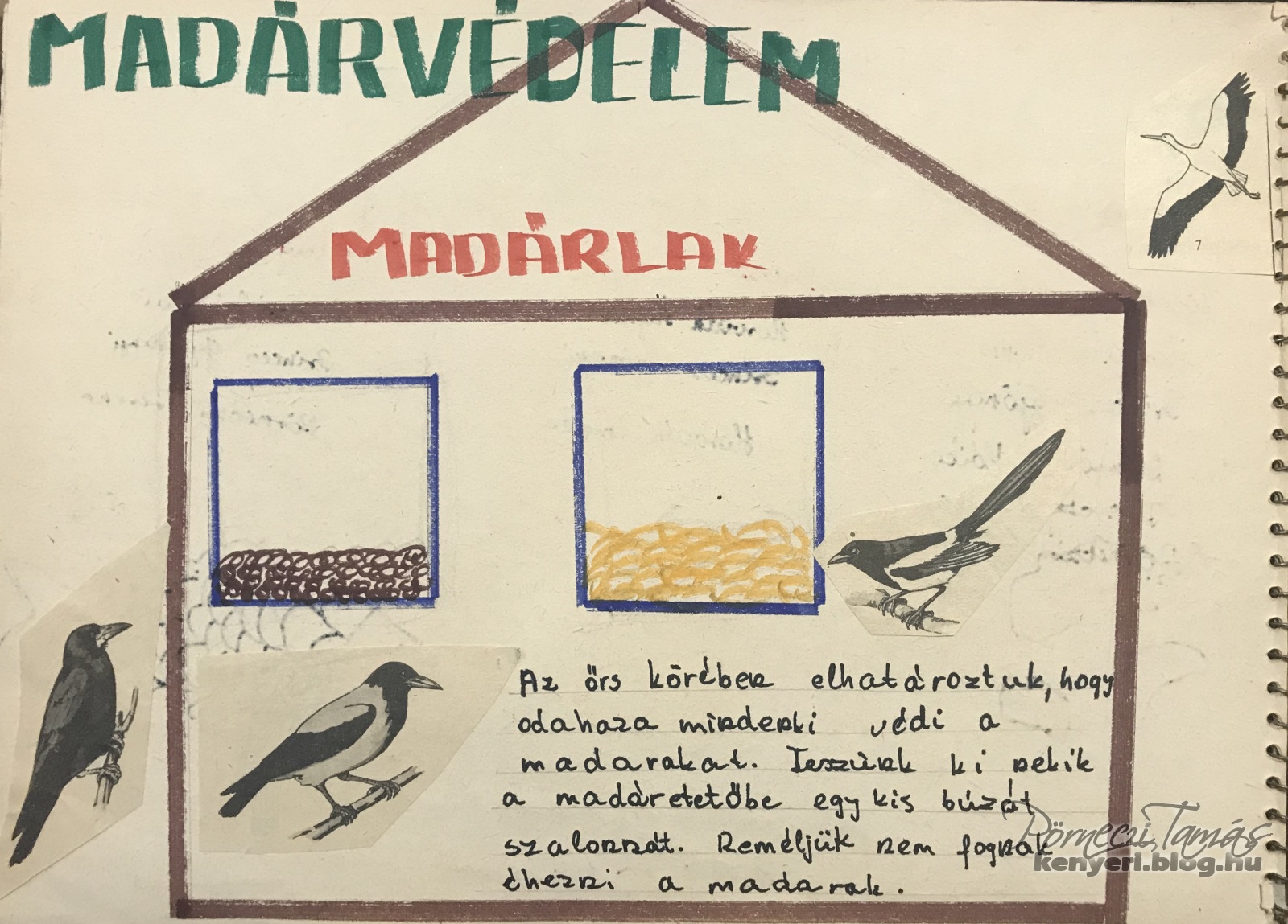 A madarak védelmét a téli hónapokban a hetedik osztályosok vállalták, 1974 