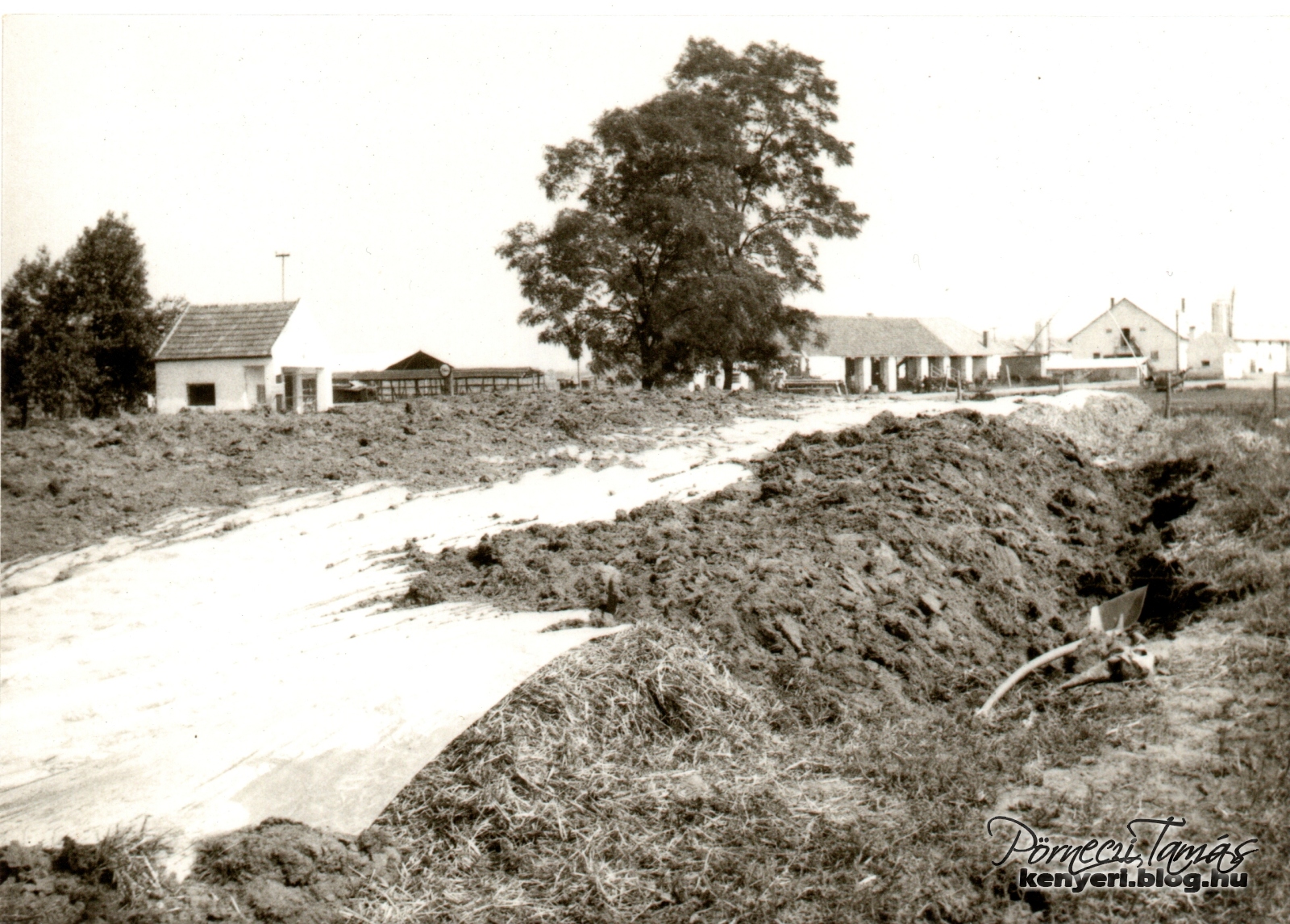 Fejlődik a szarvasmarha telep