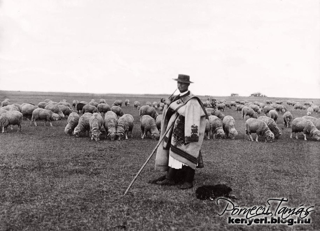 Elveszett hagyományok: a cseri pásztormulatság