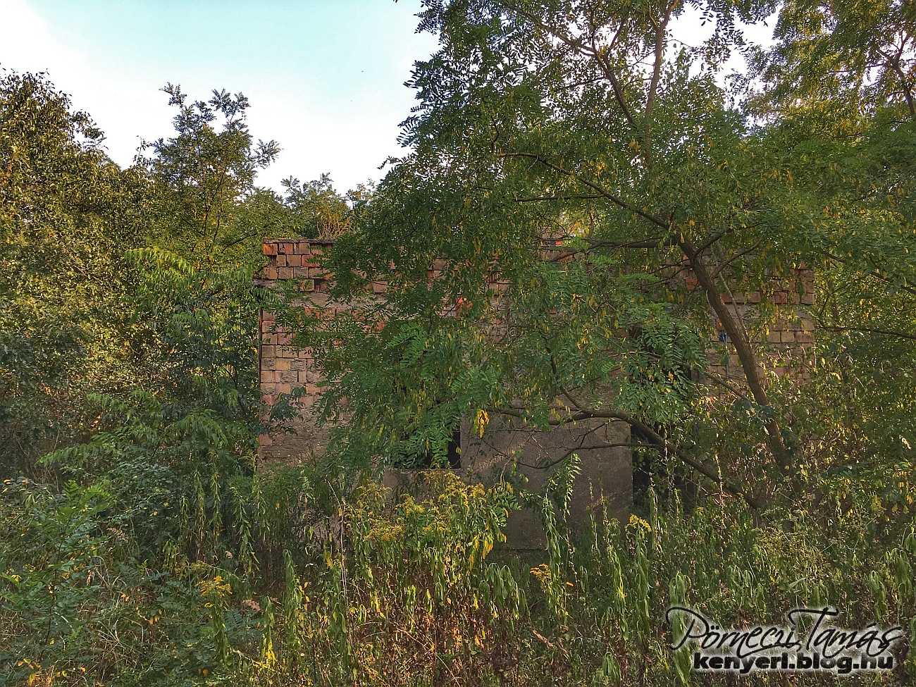 Az egyik egykori kapu közelében épült kis épület a fák takarásában. Talán az őrség egyik épülete lehetett. Tető már nincsen rajta. (2018 augusztusi fotóm)
