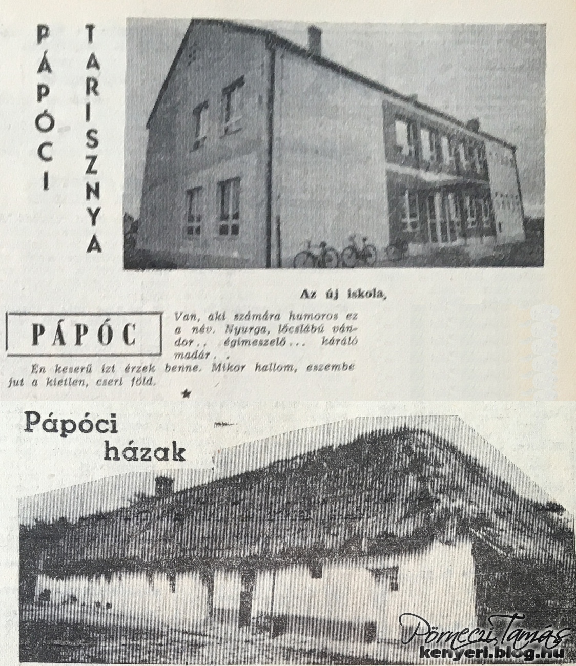 papoc_iskola_zsupfedeles_haz_1963.jpg