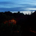 Színvilág